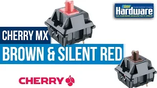 Cherry MX Brown & MX Silent Red | Mechanical Switch | Sound Test (ASMR) | Cherry MX Board 1.0