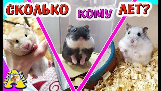 СКОЛЬКО ЛЕТ МОИМ ПИТОМЦАМ? / Хомки, морские свинки, японские мышки, КРЫСЫ, Кот, Alisa Easy Pets