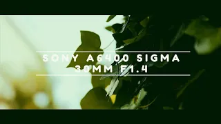 Sony A6400 With Sigma 30mm f1.4 4k Video Handheld Test