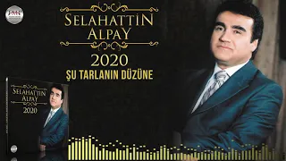 Selahattin Alpay   -   Şu Tarlanın Düzüne