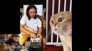Hold on to my Fur X Singing Cat X The Kiffness X Rock Version X Guitar X Solo