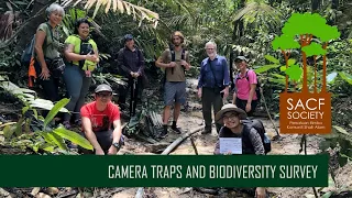 Camera Traps and Biodiversity Survey at Shah Alam Community Forest