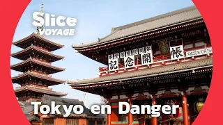 Tokyo : Menace sismique sur la capitale Japonaise I SLICE VOYAGE