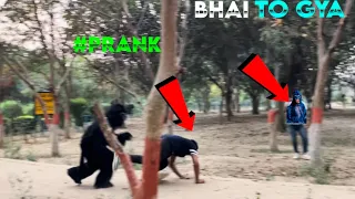 Funny Gorilla prank video 😂🤣#viral #prankvideo #gorillaprank #uniquegorillaprank