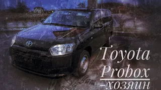 Toyota Probox- идеален для бизнеса