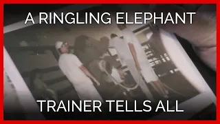 In His Own Words: A Ringling Elephant Trainer Tells All