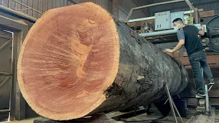 The Mystery inside Giant Trees After Exploitation in The Amazon Forest _Raw Wood Processing Process