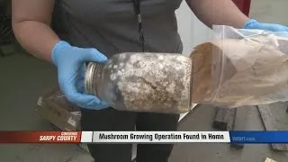 Mushroom Growing Operation