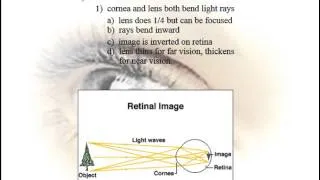 Special Senses - Vision - Physiology - Part 2