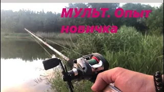 Мультипликаторная катушка . Опыт новичка.