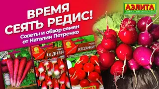 ПОСЕВ РЕДИСА. Обзор сортов редиса.