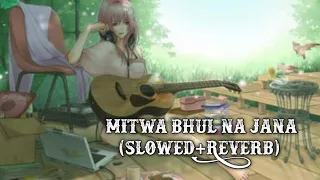 Mitwa bhul Na Jana (Slowed+Reverb) dino Music .mp4