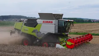 Weizenernte 2023//CLAAS TRION 750/CLAAS VARIO 930//Lars Schläper