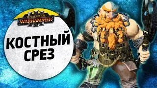 Костный срез | Графства Вампиров vs Гномы | Ленды | Total War: WARHAMMER 3