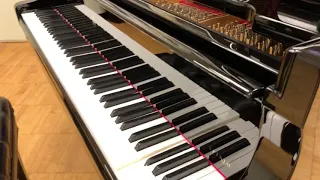 Spirio Model B Steinway & Sons Piano