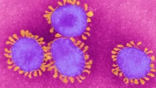 Can heat kill the coronavirus?