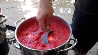 Quick & Easy Canning of Tomato Sauce