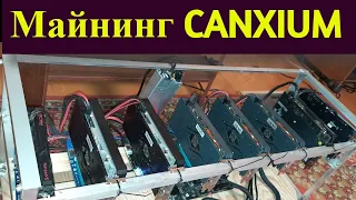 Майню новую монету CAU на AMD и NVIDIA - доходность.