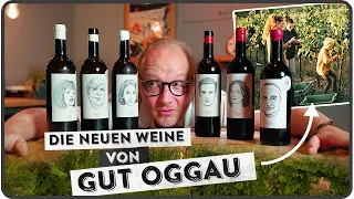 Die beliebteste Familie der Weinwelt - Gut Oggau neu im Weinpool - 5 MINUTEN FÜR WEIN AM LIMIT