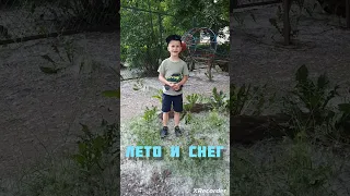 Снег летом