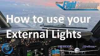 Which Lights to use at which time | Real 737 Pilot