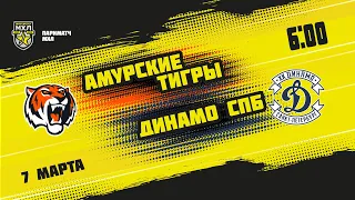 7.03.2022. «Амурские Тигры» – МХК «Динамо» СПб | (Париматч МХЛ 21/22) – Прямая трансляция