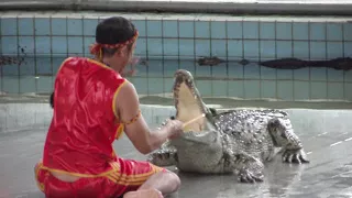 Pattaya. Crocodile farm - 2.