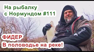 Фидер в половодье на реке / На рыбалку с Нормундом #111