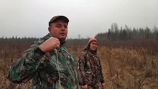#1 Загонная охота на лося и оленя | Видео для настоящих охотников | декабрь 2019