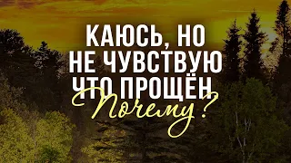 Каюсь, но не чувствую что прощён. Почему? (Андрей Резуненко)