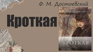 АУДИОКНИГА Ф. М. Достоевский - Кроткая