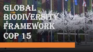 Global Biodiversity Framework CoP15|Kunming Montreal Protocol|UN Convention on Biodiversity