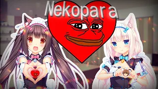 NEKOPARA НО ЗА 15 МИНУТ | Приключения Похотливого Тестомеса