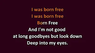 Kid Rock   Born Free w/lyrics