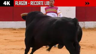 4K ▪ ALAGÓN ▪ Concurso de recorte libre ▶ Toros de SALVADOR DOMECQ