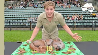 Robert Irwin’s 18th Birthday Full Croc Feed