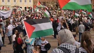 Pro-Palestinian protest in Sweden ahead of Eurovision finale | AFP