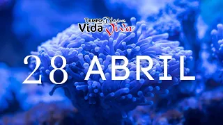 Tu Tiempo con Dios 28 de Abril 2023 (2 Samuel 11:14-27)