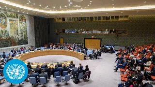 Palestine/Israel: “Fighting must stop. It must stop immediately.” - UN Security Council Open Debate