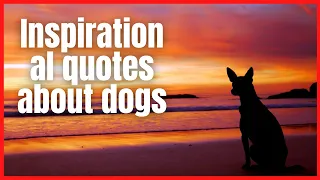 Quotes about dogs / Inspirational quotes about dogs / Quotes about dogs