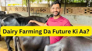 What’s the future of Dairy Farming.