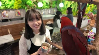 板橋 Parrot Coffee 派洛特