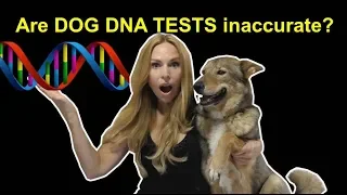 ARE DOG DNA TESTS INACCURATE? - DOG DNA REVEAL