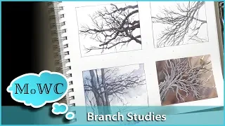 4 Tree Branch Studies in Watercolor, Ft. Renesans