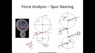 Spur Gear Force Analysis: Tangential and Radial Load