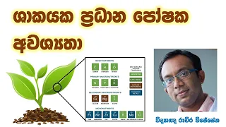 ශාකවල පෝෂණ අවශ්‍යතා සිංහලෙන් සරලව (Crop Nutrient Requirements in Sinhala)