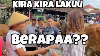 PROSES DEK YAYA TAWAR MENAWAR SAAT JUAL SAPI DI PASAR !!!