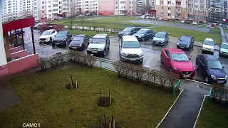 Кота выбросили из окна на INFINITI