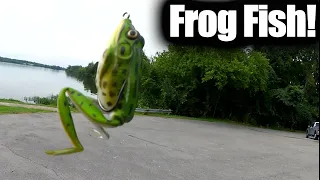 How I Catch My First Bass on a Topwater Frog! Beginner Frog Fishing