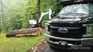 Land Clearing and Logging with an e35 bobcat